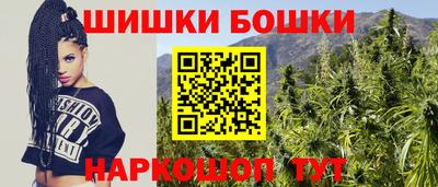 прущие грибы Шахты