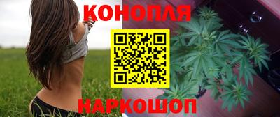 прущие грибы Шахты