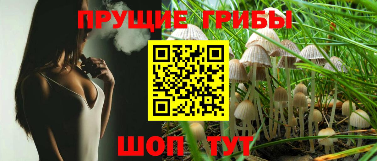A PVP СК   Вход с VPN  Александров  Мефедрон   КОКАИН  Кокаин  Купить наркоту  ГАШИШ  Канабис 